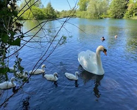 Au Bord Du Halage *
